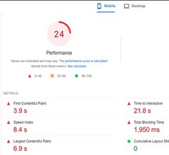 a clients websites
        preformance before