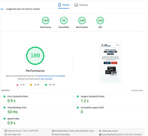 a client's websites performance before
