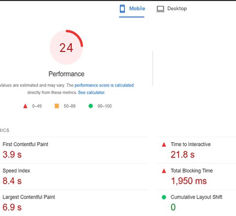 a client's websites performance before